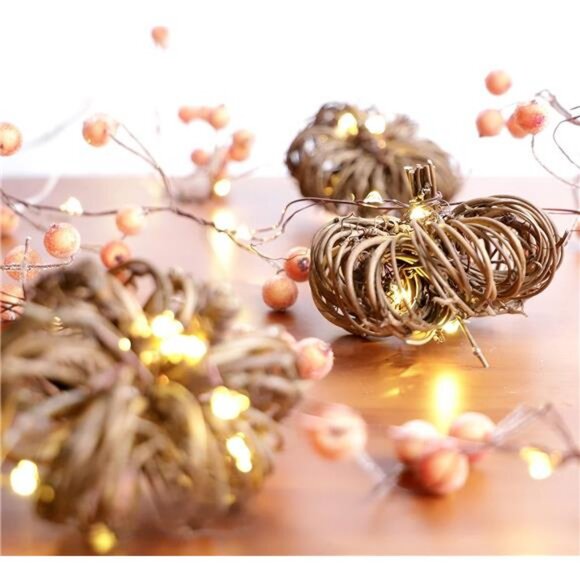 Nature Rattan Pumpkin String Lights Fall Garland with Lights Battery Operated - Picture 2 of 6